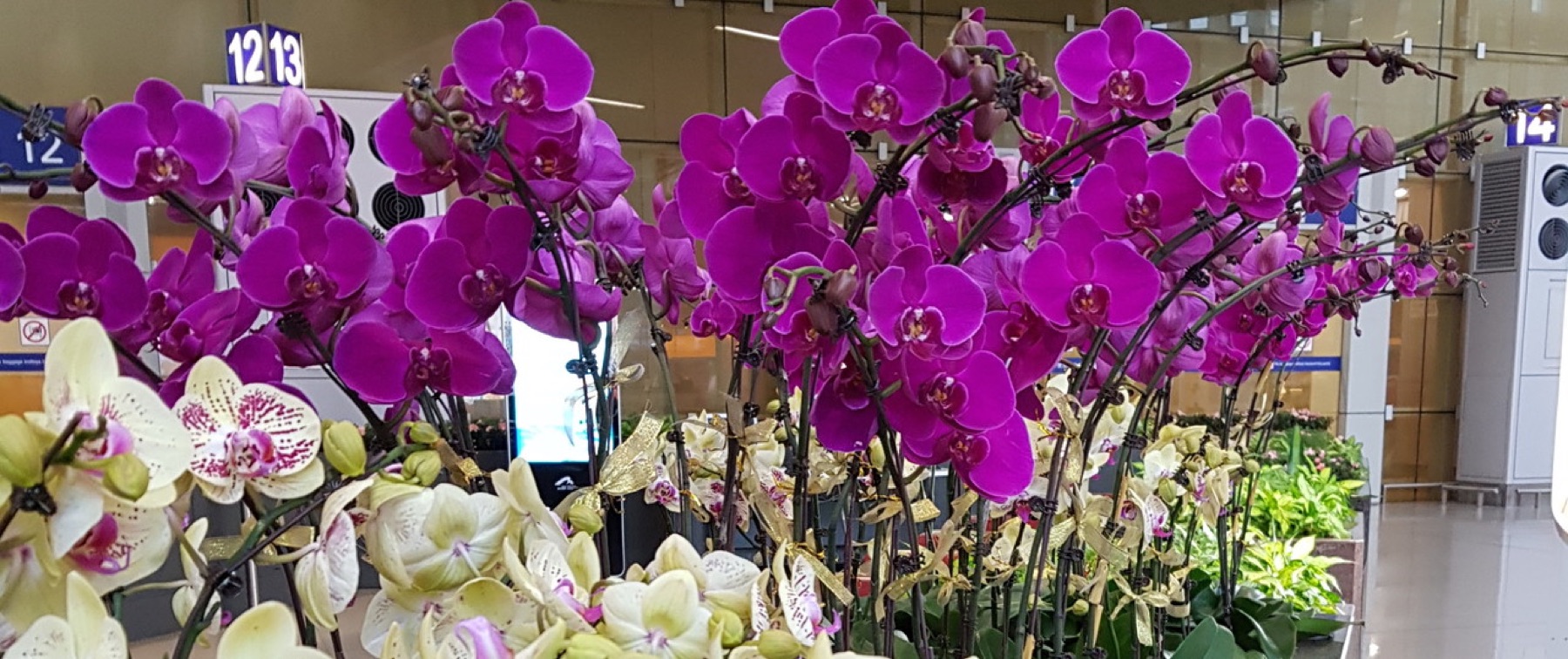 Clean Code for a Data Scientist