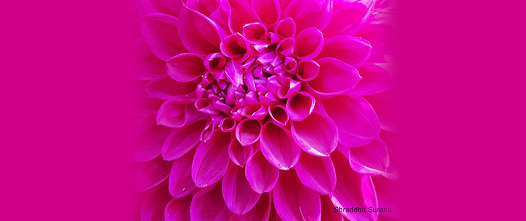 The 10 Commandments of Data Science Project